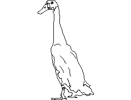 Duck - Rear View CAD block preview