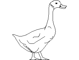 Duck CAD block preview