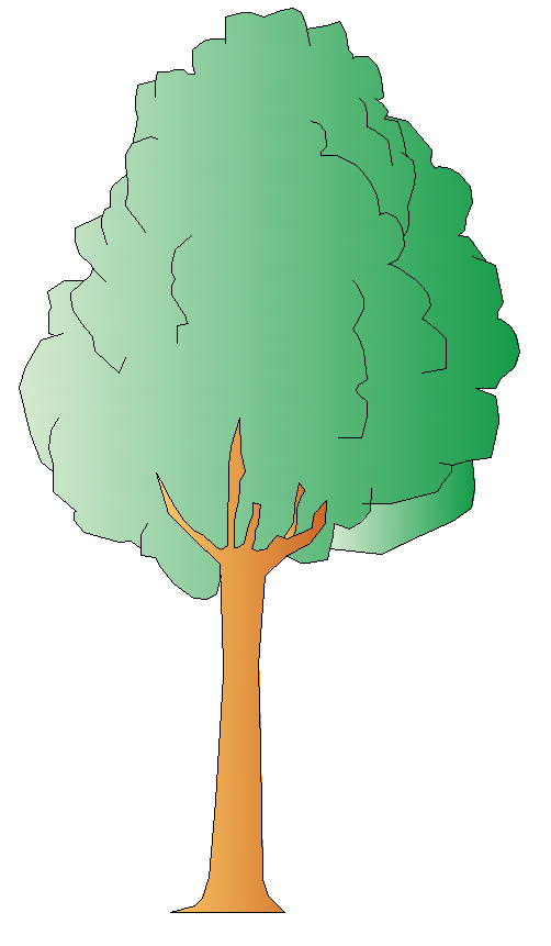 Tree Elevation - Green Ash – free CAD block preview