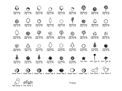 Trees - Plan and Elevation Library CAD block preview