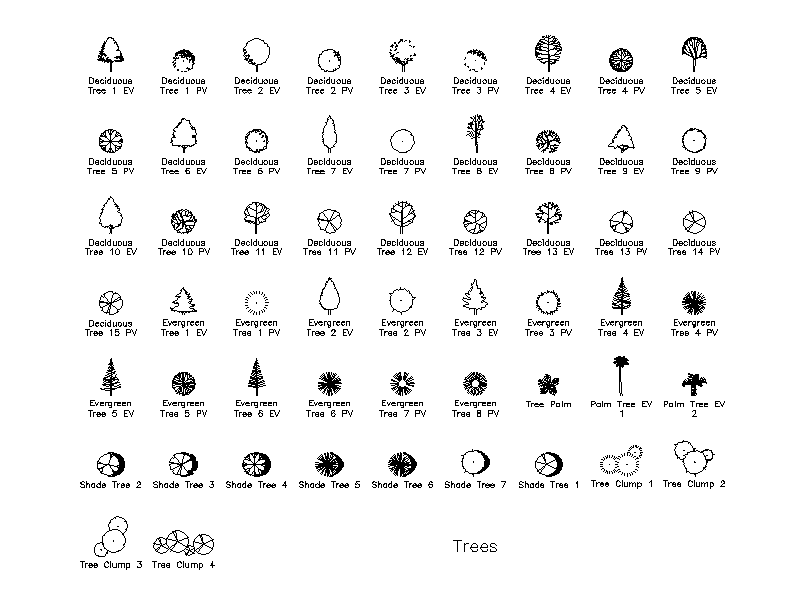 Trees - Plan and Elevation Library – free CAD block preview