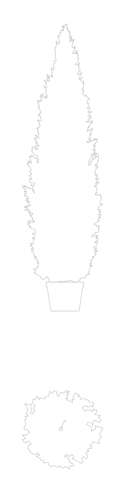 Columnar Juniper Tree - Elevation and Plan CAD block preview