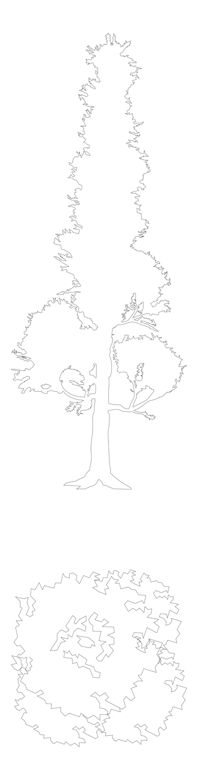 Columnar Tree - Elevation and Plan CAD block preview