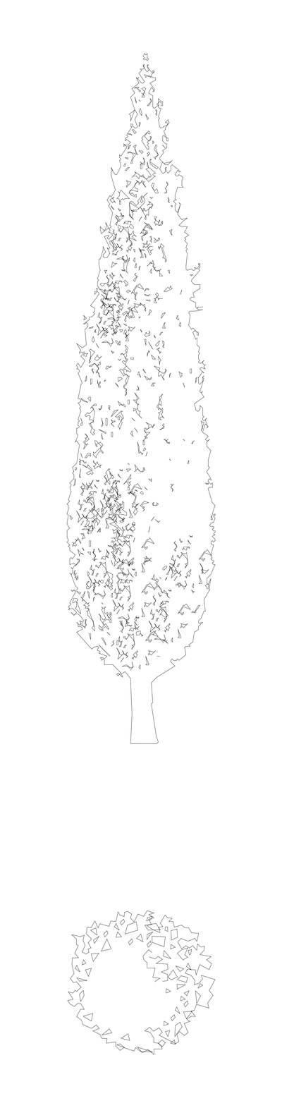 Italian Cypress Tree - Elevation and Plan CAD block preview