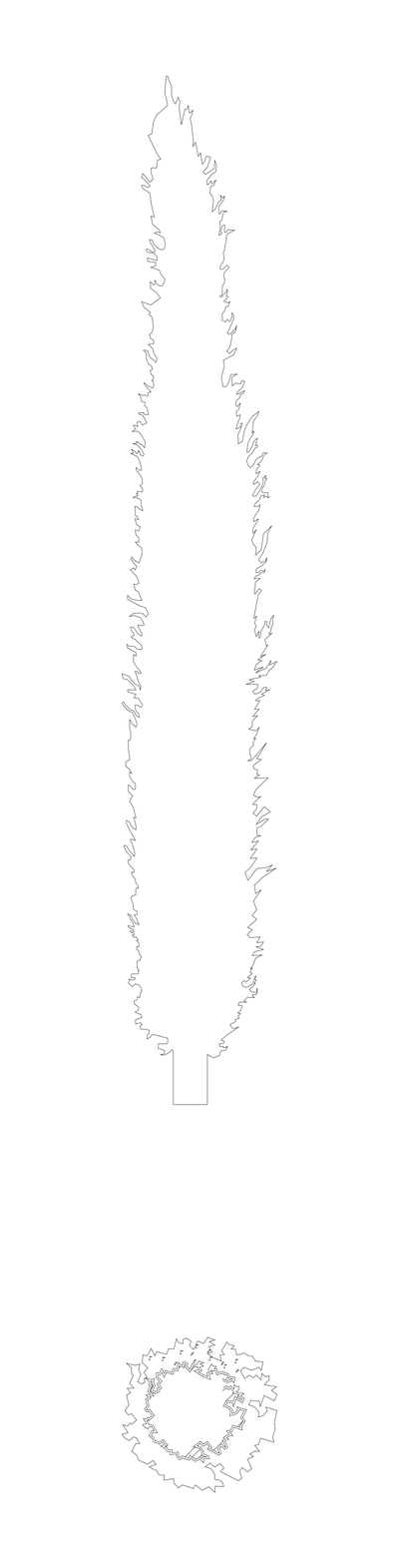 Lombardy Poplar Tree - Elevation and Plan CAD block preview