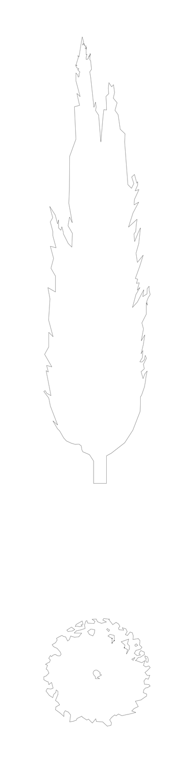 Populus Nigra Italica Tree - Elevation and Plan CAD block preview