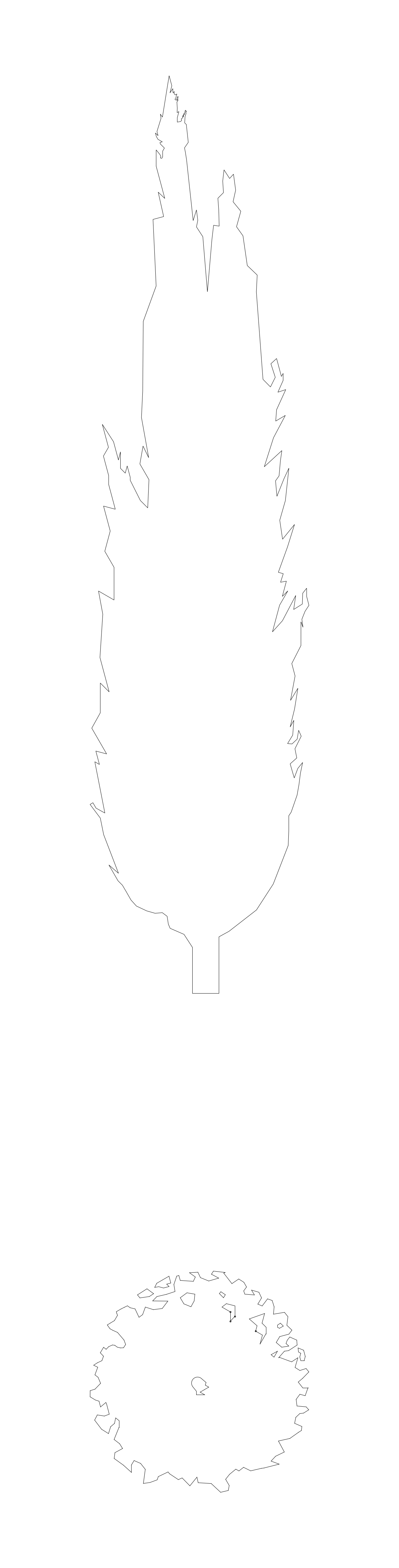 Populus Nigra Italica Tree - Elevation and Plan – free CAD block preview