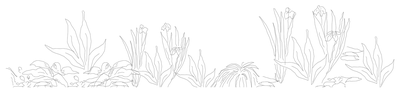 Garden Bed Planting - Elevation CAD block preview