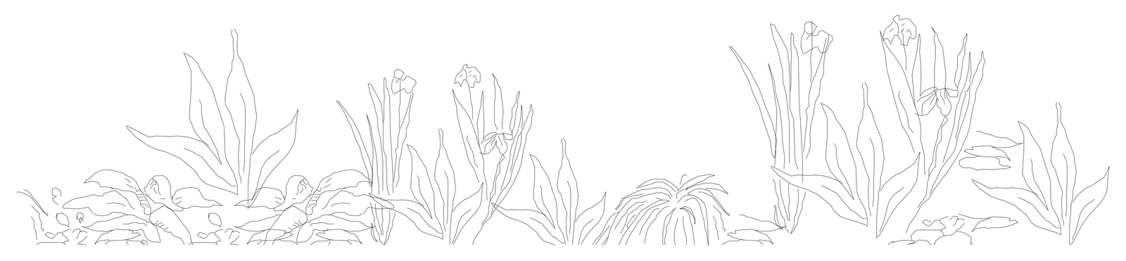 Garden Bed Planting - Elevation – free CAD block preview