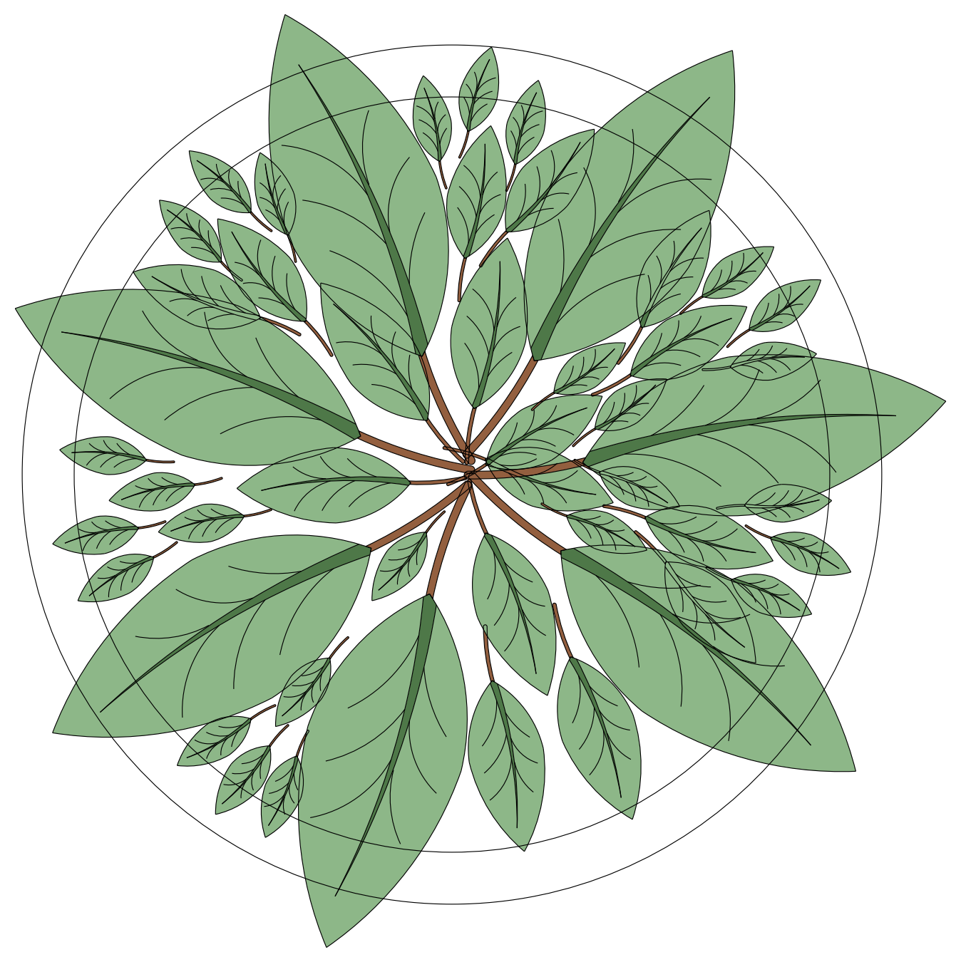 Leafy Tree - Plan View – free CAD block preview