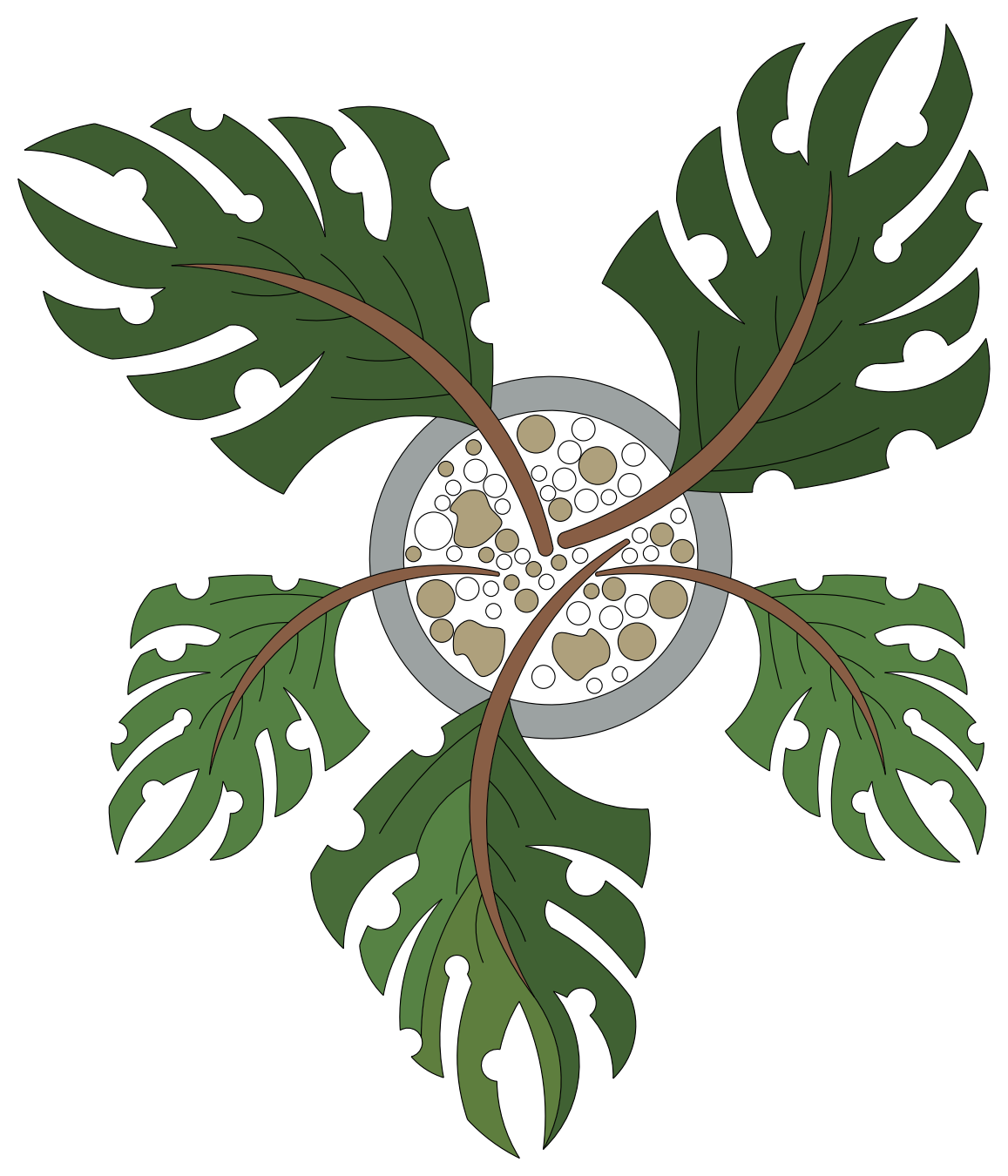 Monstera in Planter Pot - Plan View – free CAD block preview