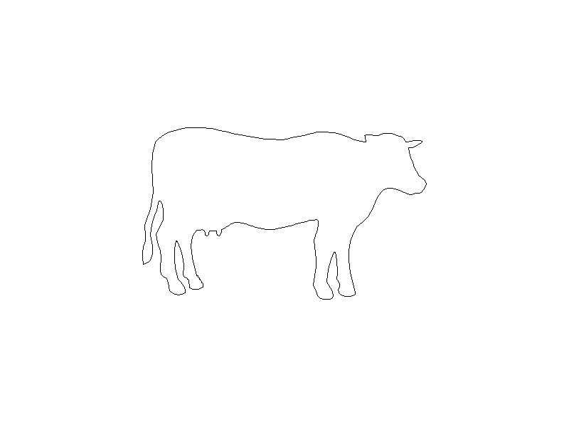 Outline of a Cow