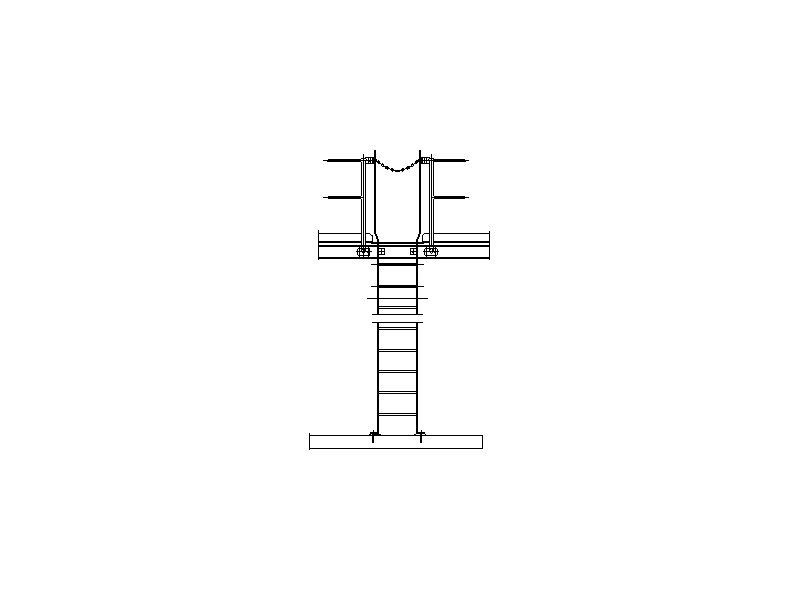 Steel Ladder with Cage - Front View